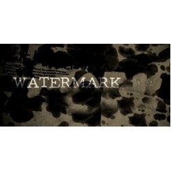 1-ON-1 Watermark by Mathieu Bich