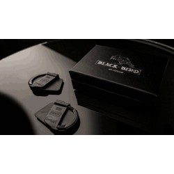 Blackbird by Jeff Copeland