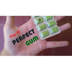 Perfect Gum by Tony Ho and Kelvin Trinh Presents