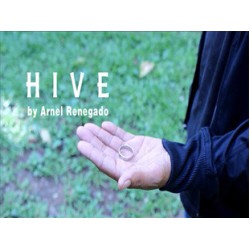 The HIVE by Arnel Renegado
