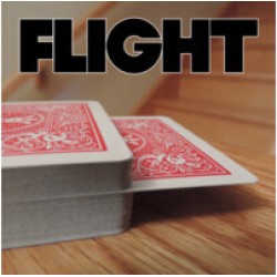 Flight by Adam Kaufman