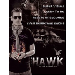 The Hawk by Alexander Koelle