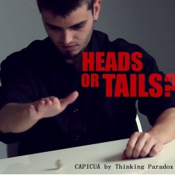 CAPICUA by Thinking Paradox