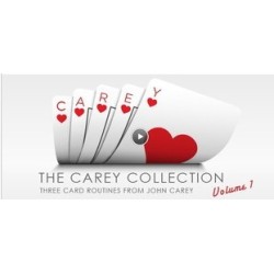 Vanishing John Carey Collection 1-2