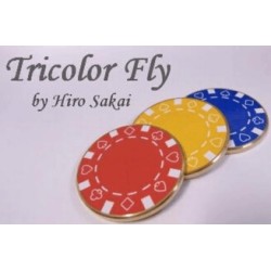 Tricolor Fly by Hiro Sakai