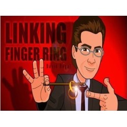 2013 Linking Finger Ring by David Regal