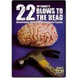 Jay Sankey - 22 Blows to the Head