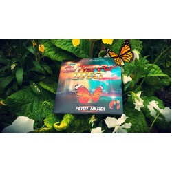 The Butterfly Effect by Peter Nardi