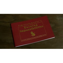 Ensuing Impuzzibilities by Jim Steinmeyer