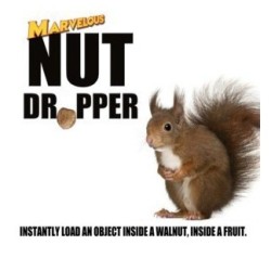 The Marvelous Nut Dropper by Matthew Wright