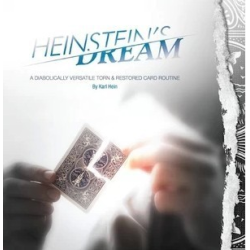 Heinstein's Dream by Karl Hein