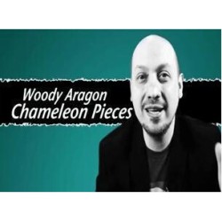 Chameleon Pieces by Woody Aragon