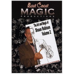 The Art And Magic by Shaun Robison