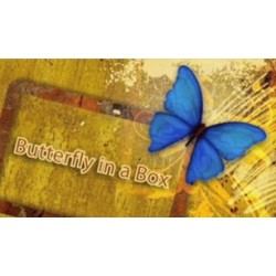 Butterfly In a Box by Mark Presley
