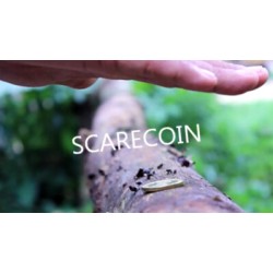 SCARECOIN by Arnel Creations