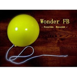 Wonder Floating Balloon