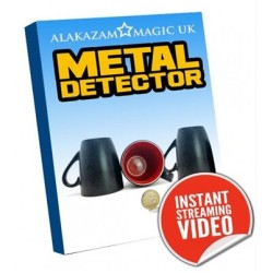 Metal Detector by Brian Caswell