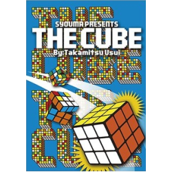 The Cube by Takamitsu Usui