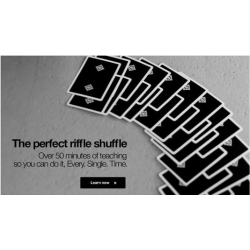 2013 The Perfect Riffle Shuffle by Joe Barry