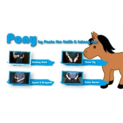 Pony by Ponta the Smith & Johnny Jun