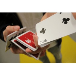 Noclip + Cryo by Tobias Levin and Oliver Sogard