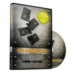 2012 EMC The Card Puzzle by Woody Aragon