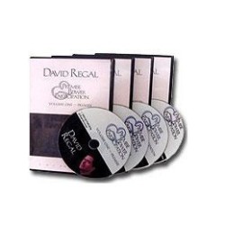 David Regal - Premise, Power & Particpation 4
