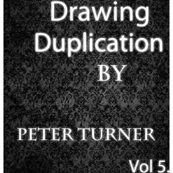 Drawing Duplications (Vol 5) by Peter Turner