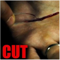 2014 Cut by Ran Pink