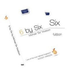 2013 System 6 by Six by Michael 