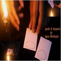 Ignite & Surprise by Ayan Mukherjee