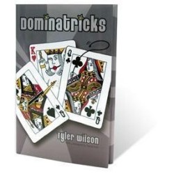 Tyler Wilson - Dominatricks