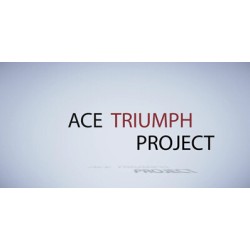 Ace Triumph by Denis Vasiliev