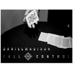 Fall Control by Daniel Madison