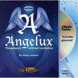 2011 Diego Antoine - Angelux