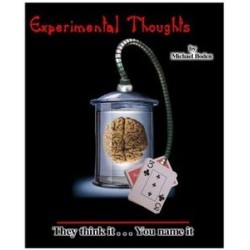 2012 Experimental Thoughts by Michael Boden