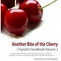 The Cheetah's HandBook by Andi Gladwin Volume 2