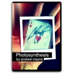 2011 Andrew Mayne - Photosynthesis