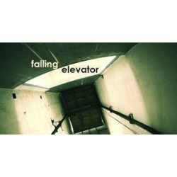 2011 Bizau Vasile Cristian - Falling Elevator