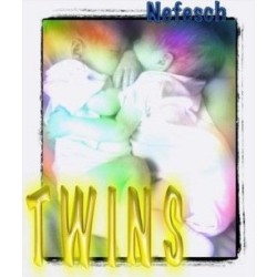 Twins by Nefesch