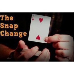 T11 Michael Hankins - The Snap Change