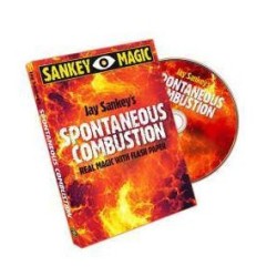Jay Sankey - Spontaneous Combustion