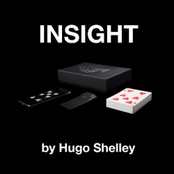 Insight by Hugo Shelley