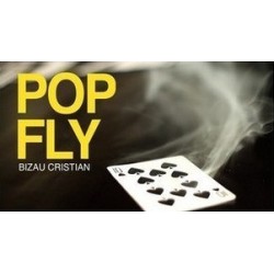 2012 Bizau Cristian Pop Fly