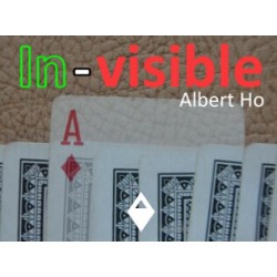 In-visible by Albert Ho