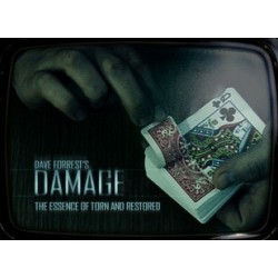 2012 DAMAGE by Dave Forrest