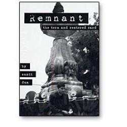 Remnant by Sumit Dua