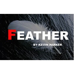 Feather by Kevin Parker