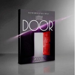 Little Door by Roddy McGhie