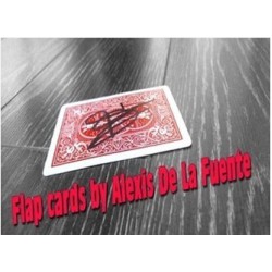2014 Flap Cards by Alexis De La Fuente